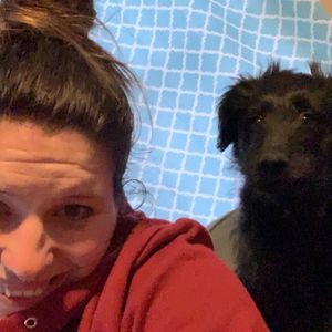 Meet your Posher, Abby
